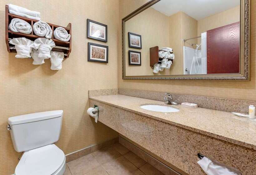 בית מלון כפרי Comfort Suites South