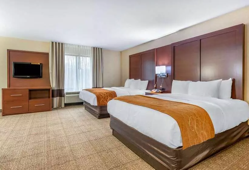 فندق Comfort Suites South