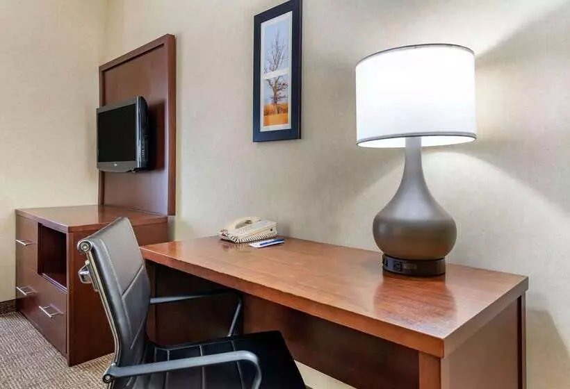 فندق Comfort Suites South