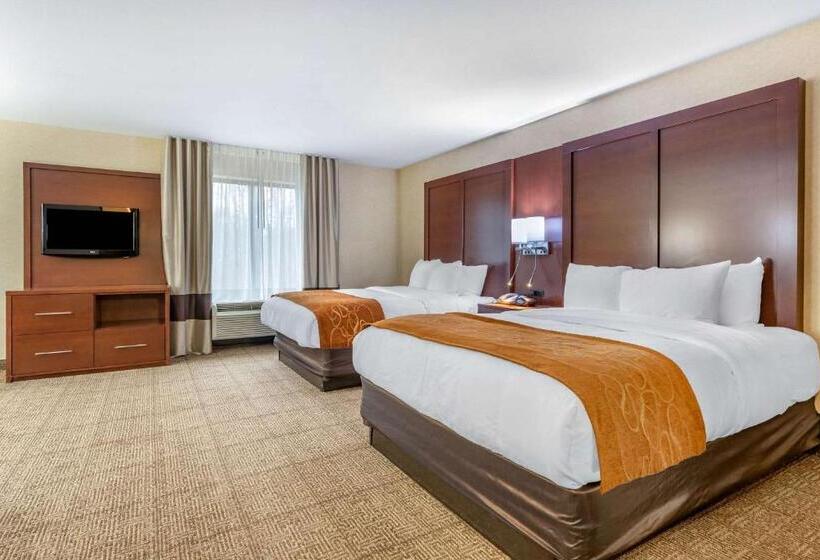 בית מלון כפרי Comfort Suites South