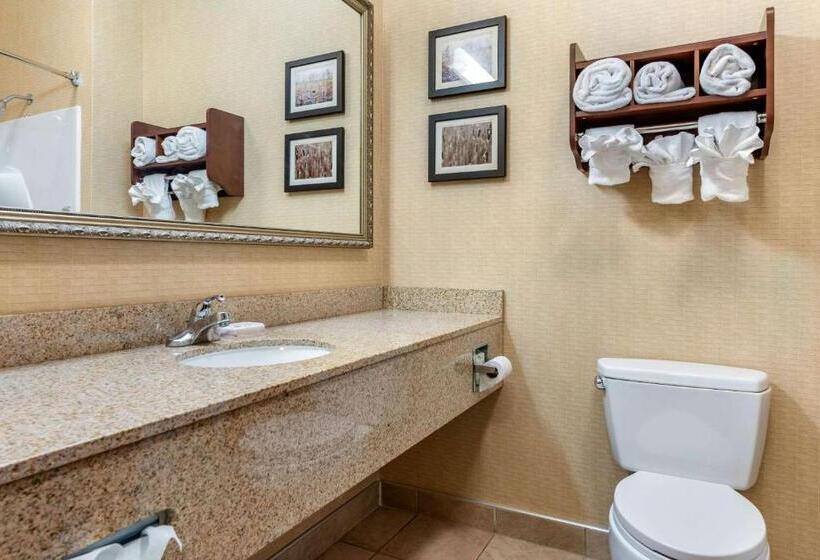 בית מלון כפרי Comfort Suites South