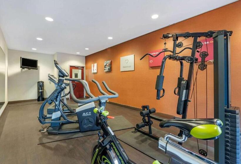 בית מלון כפרי Comfort Suites South