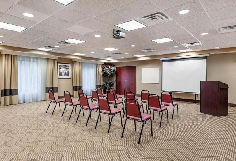 בית מלון כפרי Comfort Suites South