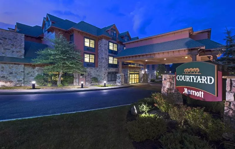Hotel Courtyard Marriott Lake Placid