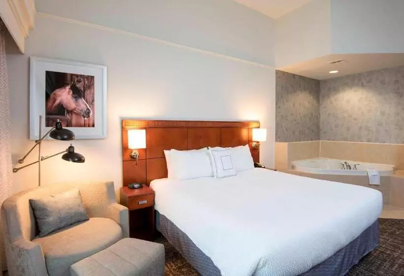 ホテル Courtyard By Marriott San Antonio North Stone Oak At Legacy
