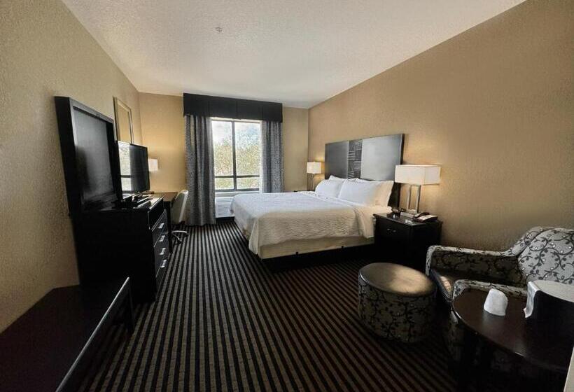 酒店 Holiday Inn San Antonio North Stone Oak Area, An Ihg