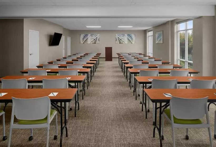 Hotel Springhill Suites Pittsburgh Southside Works