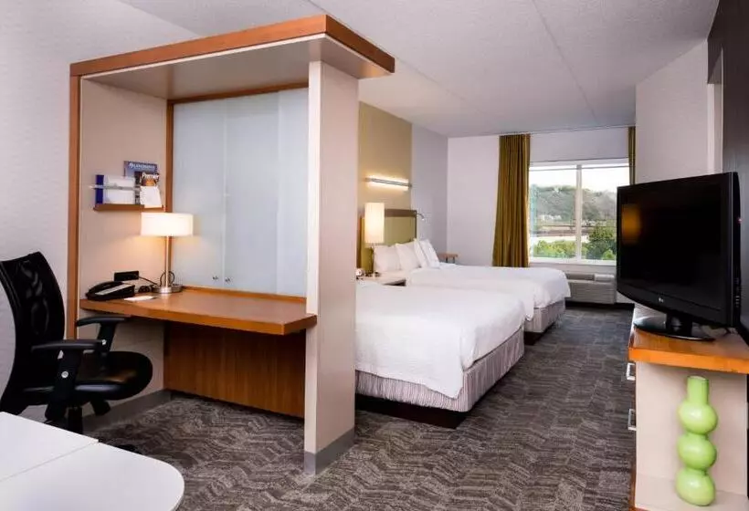 Hotel Springhill Suites Pittsburgh Southside Works