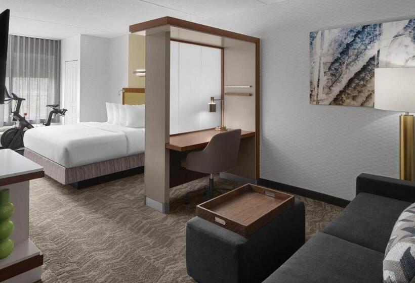 ホテル Springhill Suites Pittsburgh Southside Works