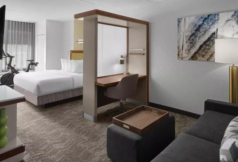 Hotel Springhill Suites Pittsburgh Southside Works