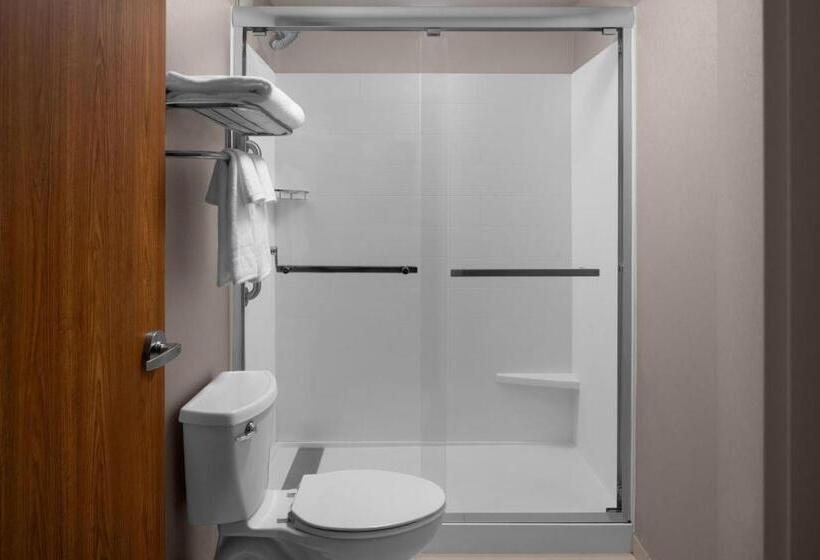 ホテル Springhill Suites Pittsburgh Southside Works