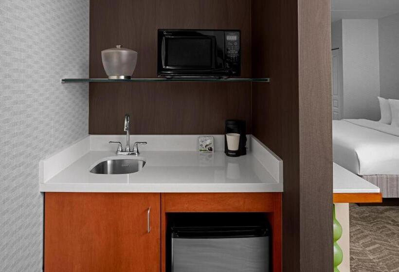 ホテル Springhill Suites Pittsburgh Southside Works