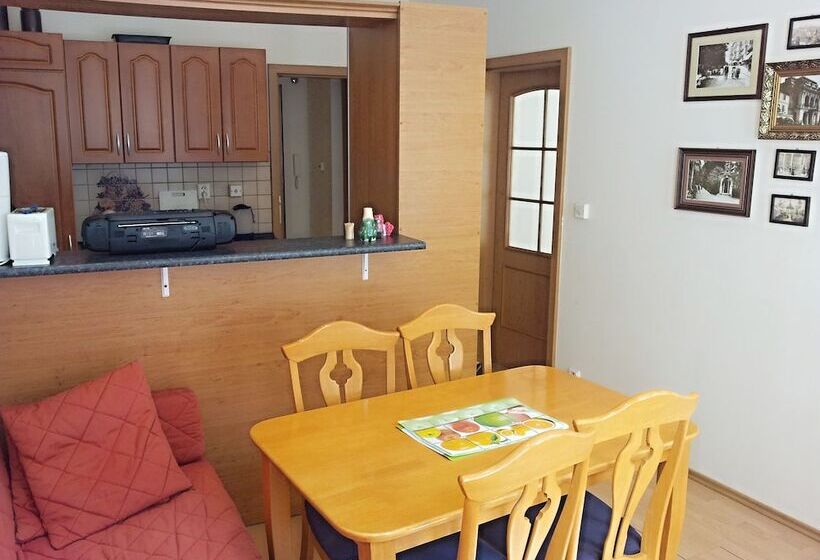 Holiday Apartments Karlovy Vary