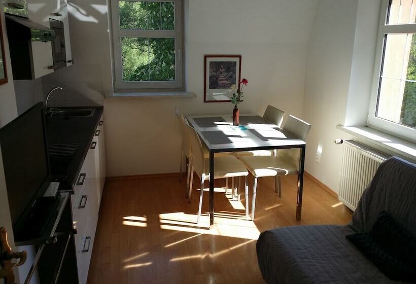 Holiday Apartments Karlovy Vary