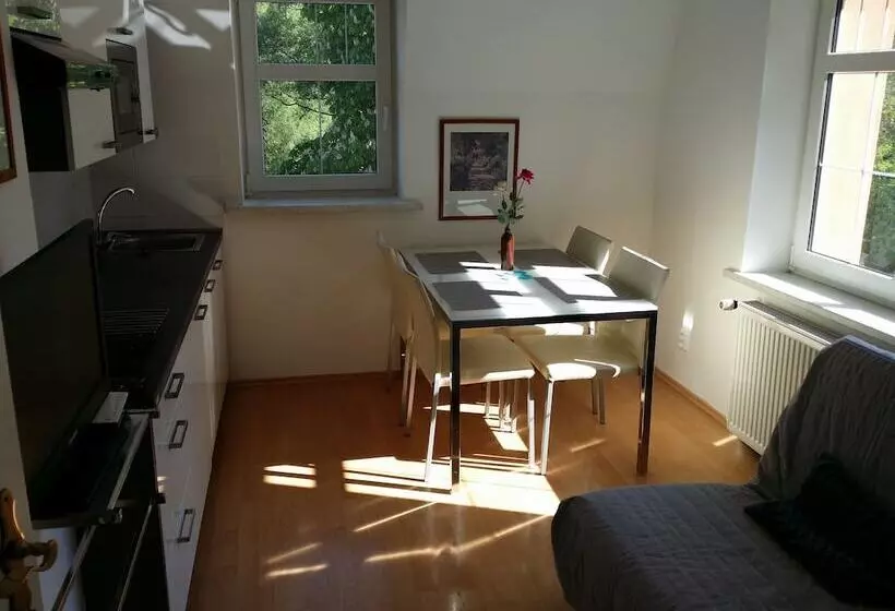 Holiday Apartments Karlovy Vary