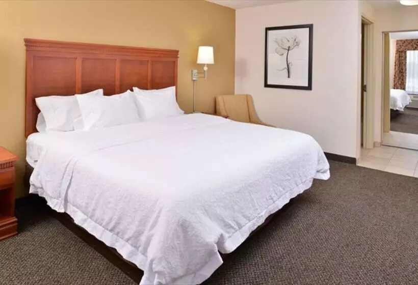 Hotel Hampton Inn & Suites Richmond, In
