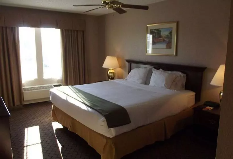ホテル Holiday Inn Express  & Suites Wallacehwy 41, An Ihg