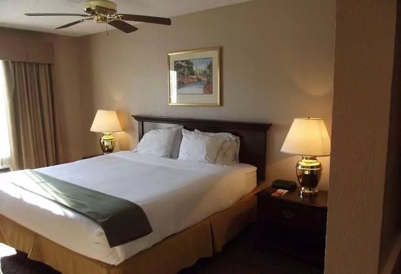 ホテル Holiday Inn Express  & Suites Wallacehwy 41, An Ihg