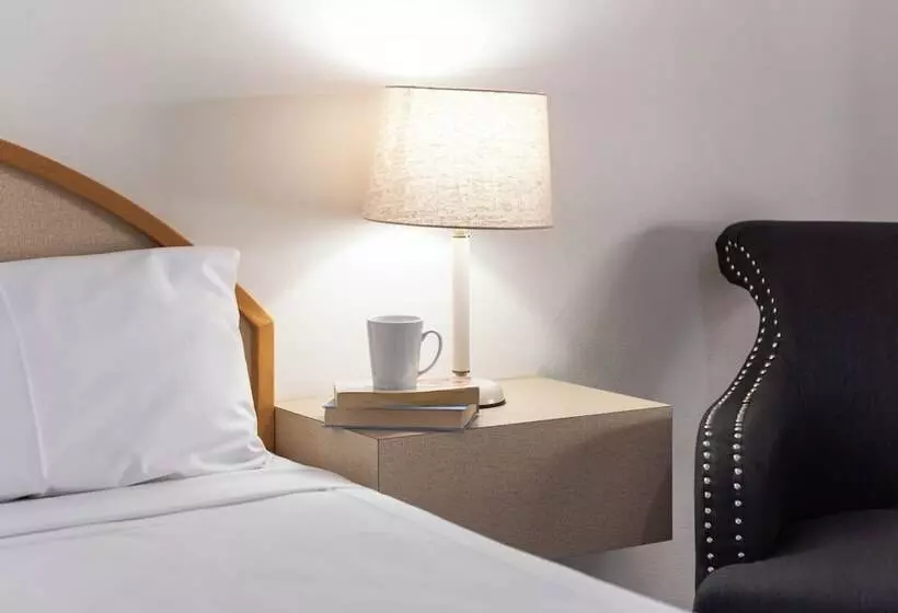 ホテル Longreach Motor Inn