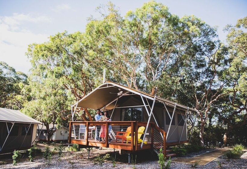 ホテル Port Stephens Koala Sanctuary