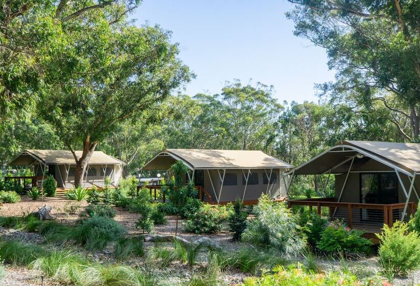 ホテル Port Stephens Koala Sanctuary