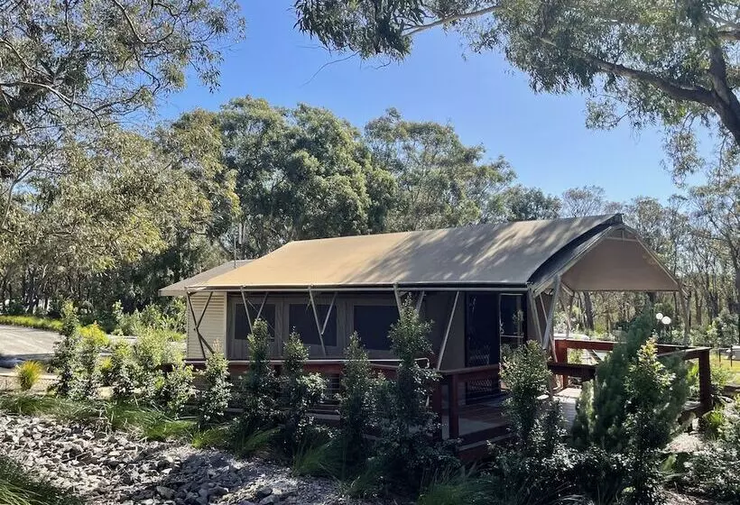 Отель Port Stephens Koala Sanctuary