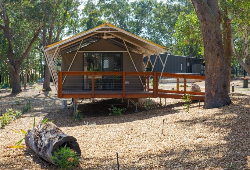 ホテル Port Stephens Koala Sanctuary