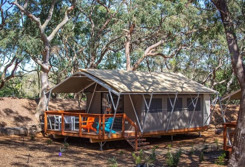 ホテル Port Stephens Koala Sanctuary