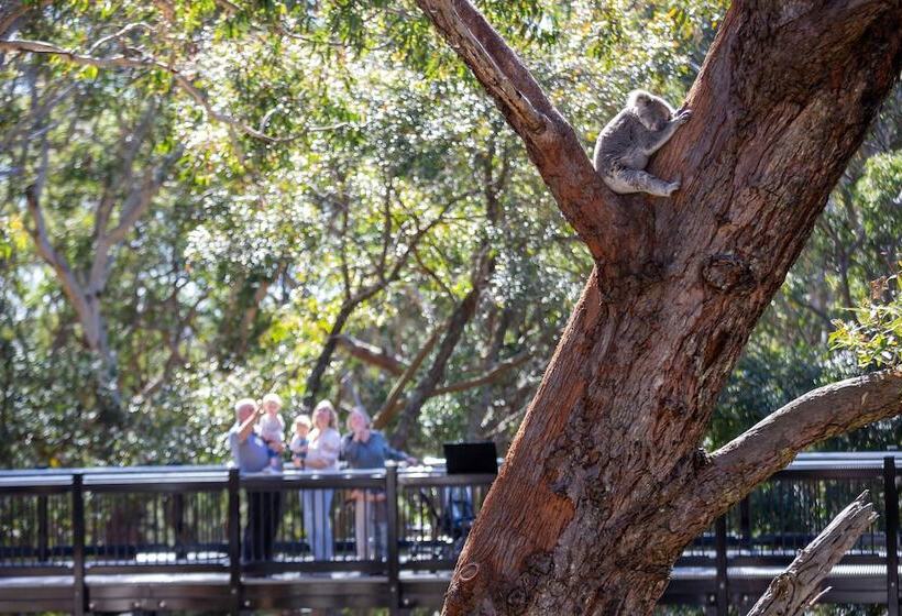 ホテル Port Stephens Koala Sanctuary