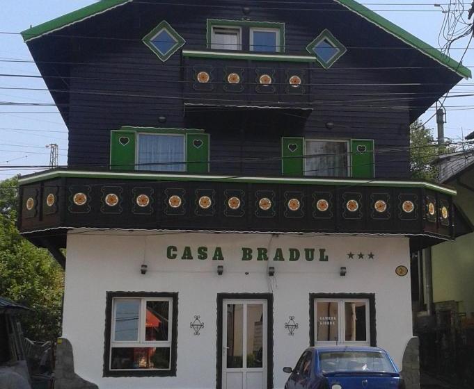Pension Casa Bradul
