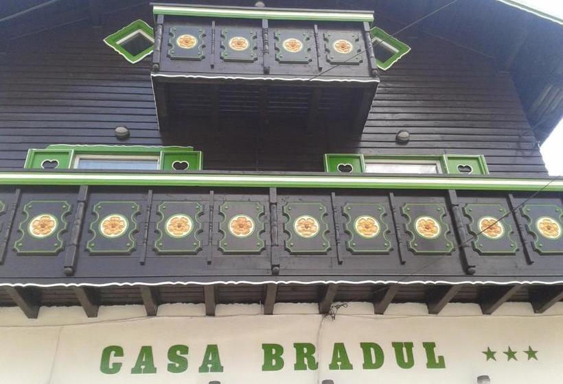 Pension Casa Bradul