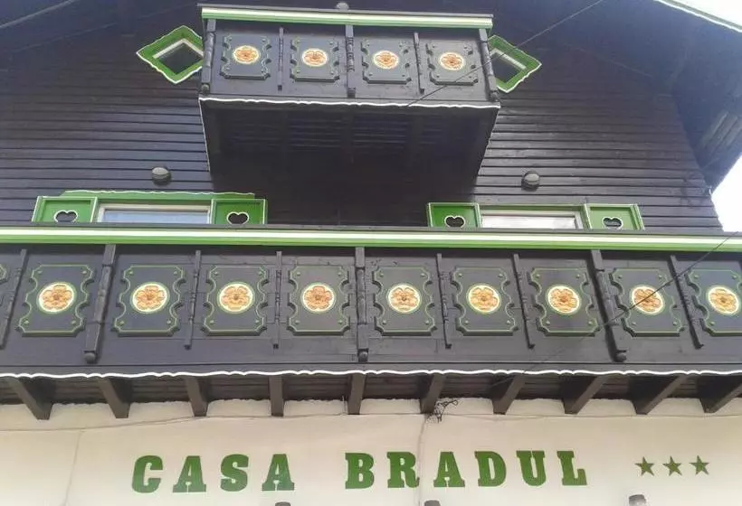 Pension Casa Bradul
