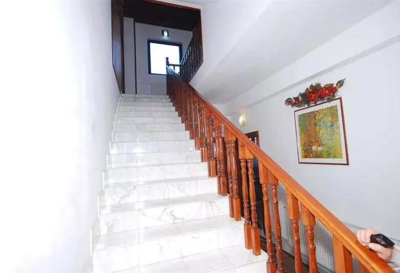 Pension Casa Bradul