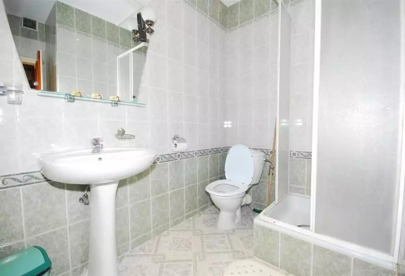 Pension Casa Bradul