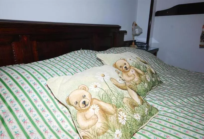 Pension Casa Bradul