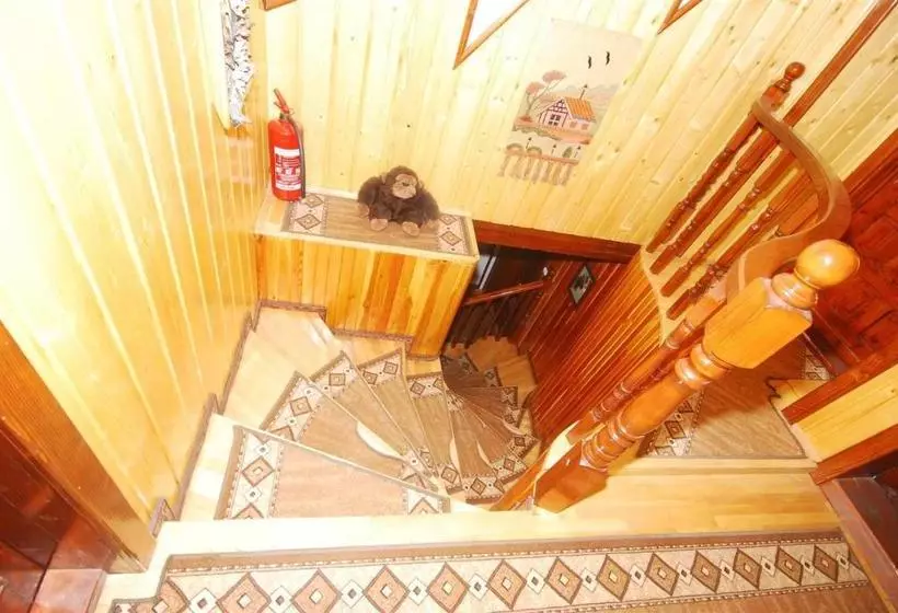 Pension Casa Bradul