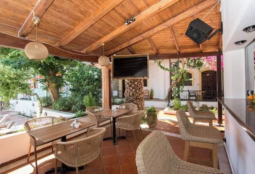 Rena Apartments By Checkin