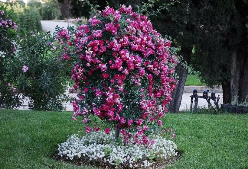 Corfu Club Apartments