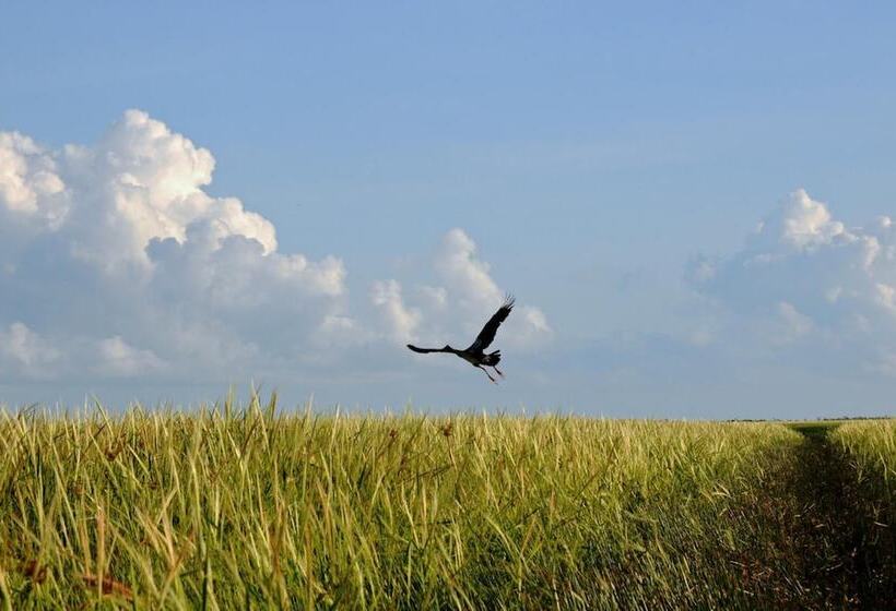 فندق Bamurru Plains