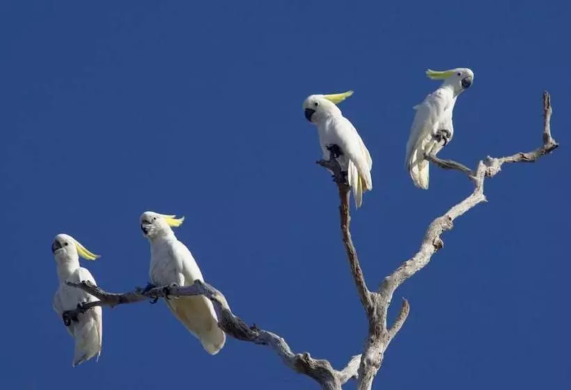 Hotel Bamurru Plains