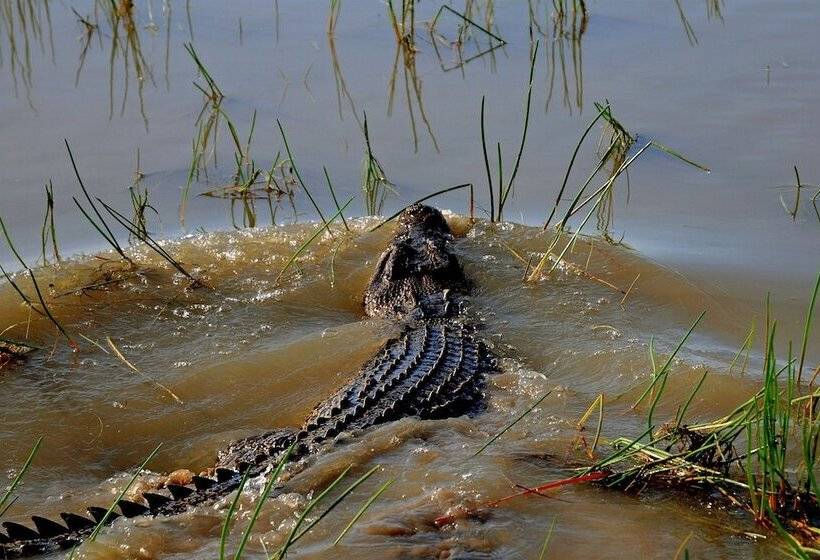 فندق Bamurru Plains