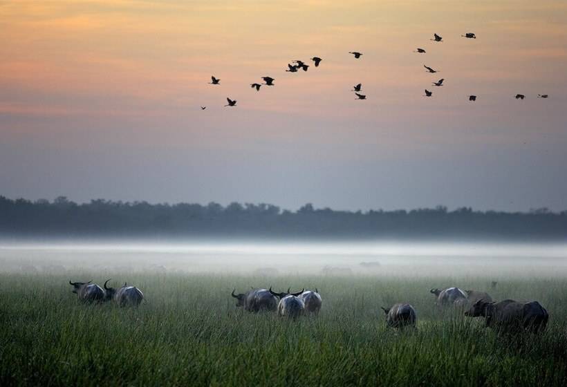 فندق Bamurru Plains