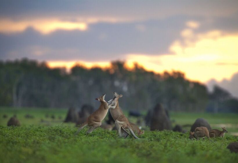 فندق Bamurru Plains