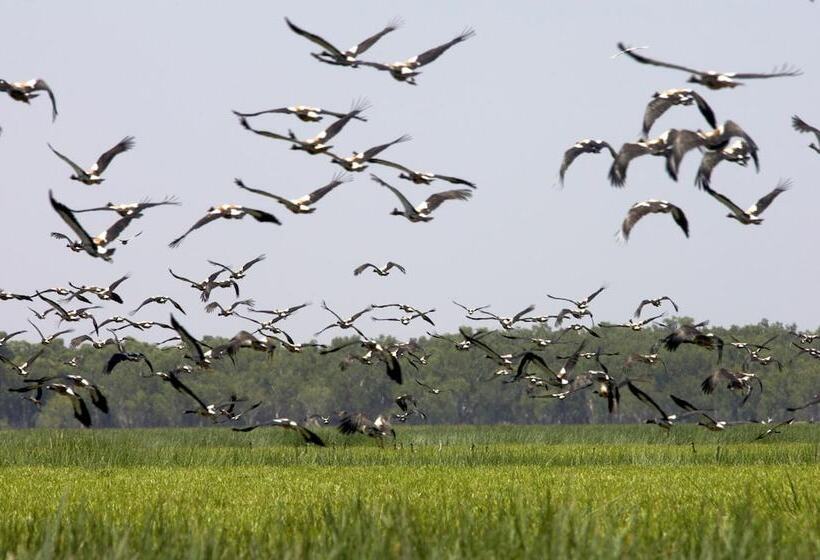 فندق Bamurru Plains