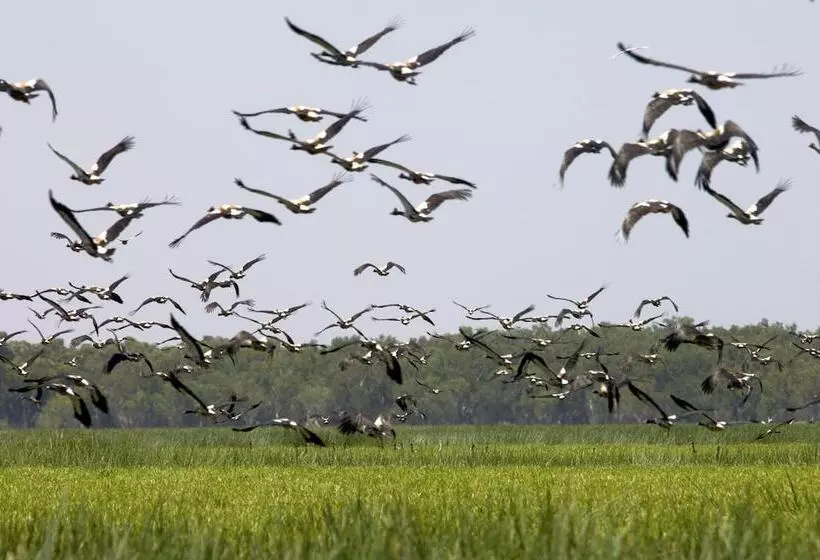 Hotel Bamurru Plains