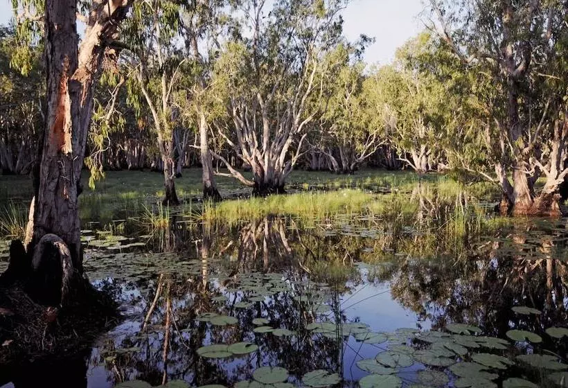 Hotel Bamurru Plains