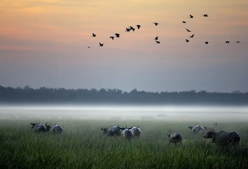 ホテル Bamurru Plains