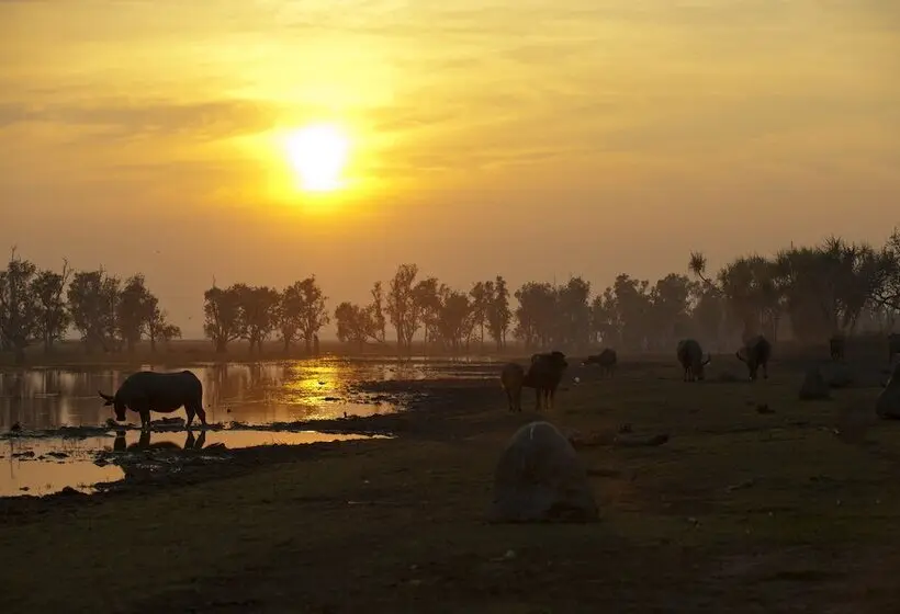 ホテル Bamurru Plains