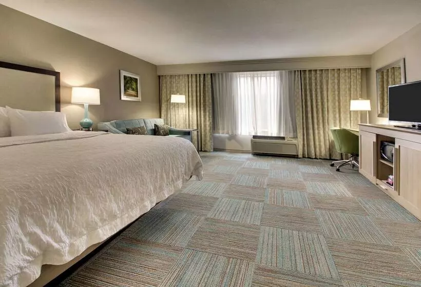 בית מלון כפרי Hampton Inn Yemassee/point South