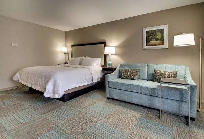 בית מלון כפרי Hampton Inn Yemassee/point South